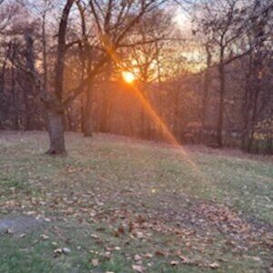 Meet your Posher, Dorit